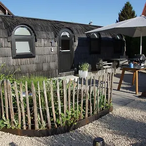 Freches Wohnen Igluhuts Apartment